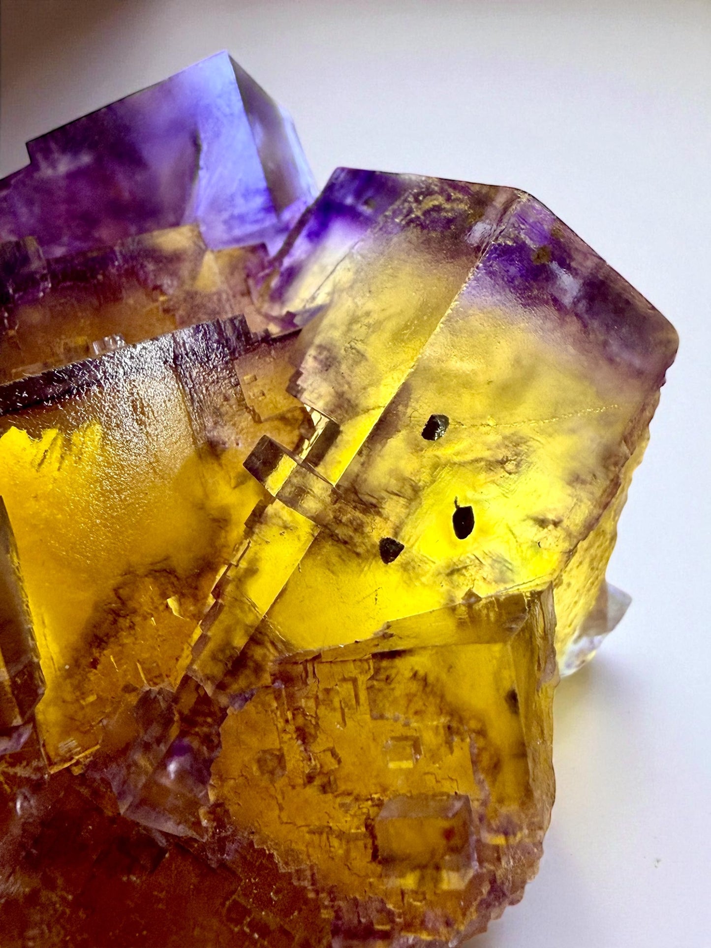 Fluorite x Chalcopyrite • Crystal-Victory Mine, Illinois