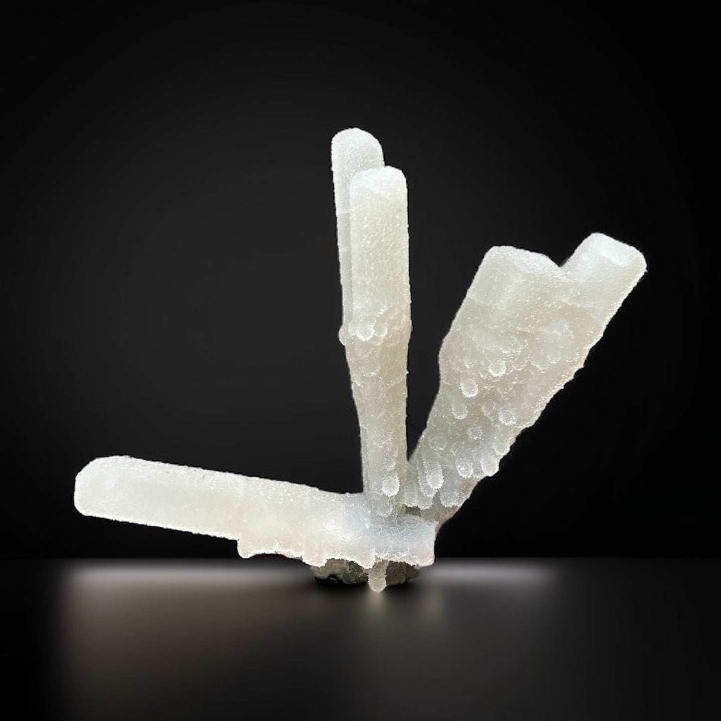 Exceptional Chalcedony-Coated Selenite Blades— Deccan Traps