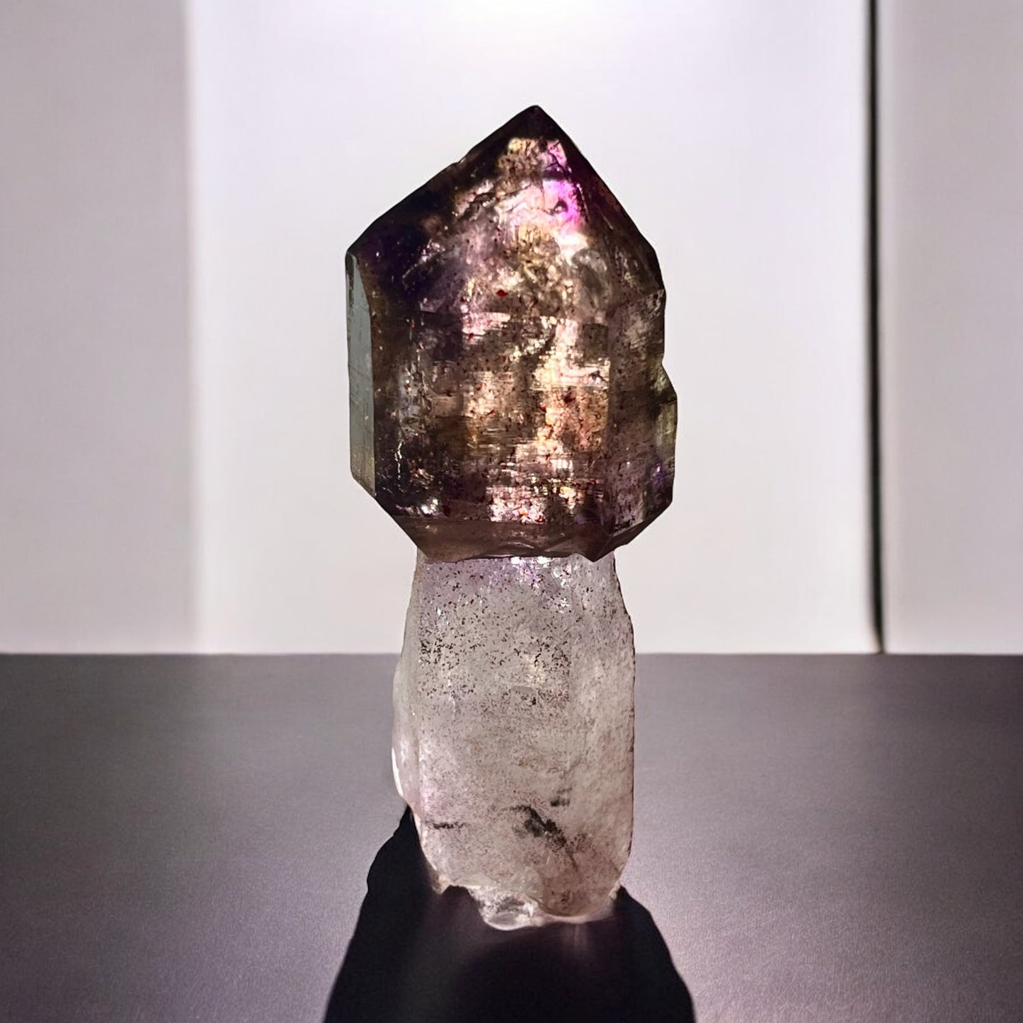 ππ‘π ππ¦πππ‘π²π¬π ππ«ππ‘π’π―π | Shangaan Amethyst Scepter Multiple Enhydros