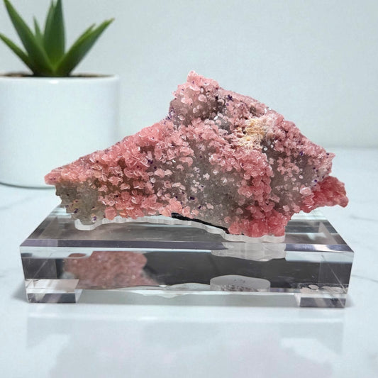 The Wutong Collection: Rhodochrosite With Fluorite & Quartz — “The Dolphin”
