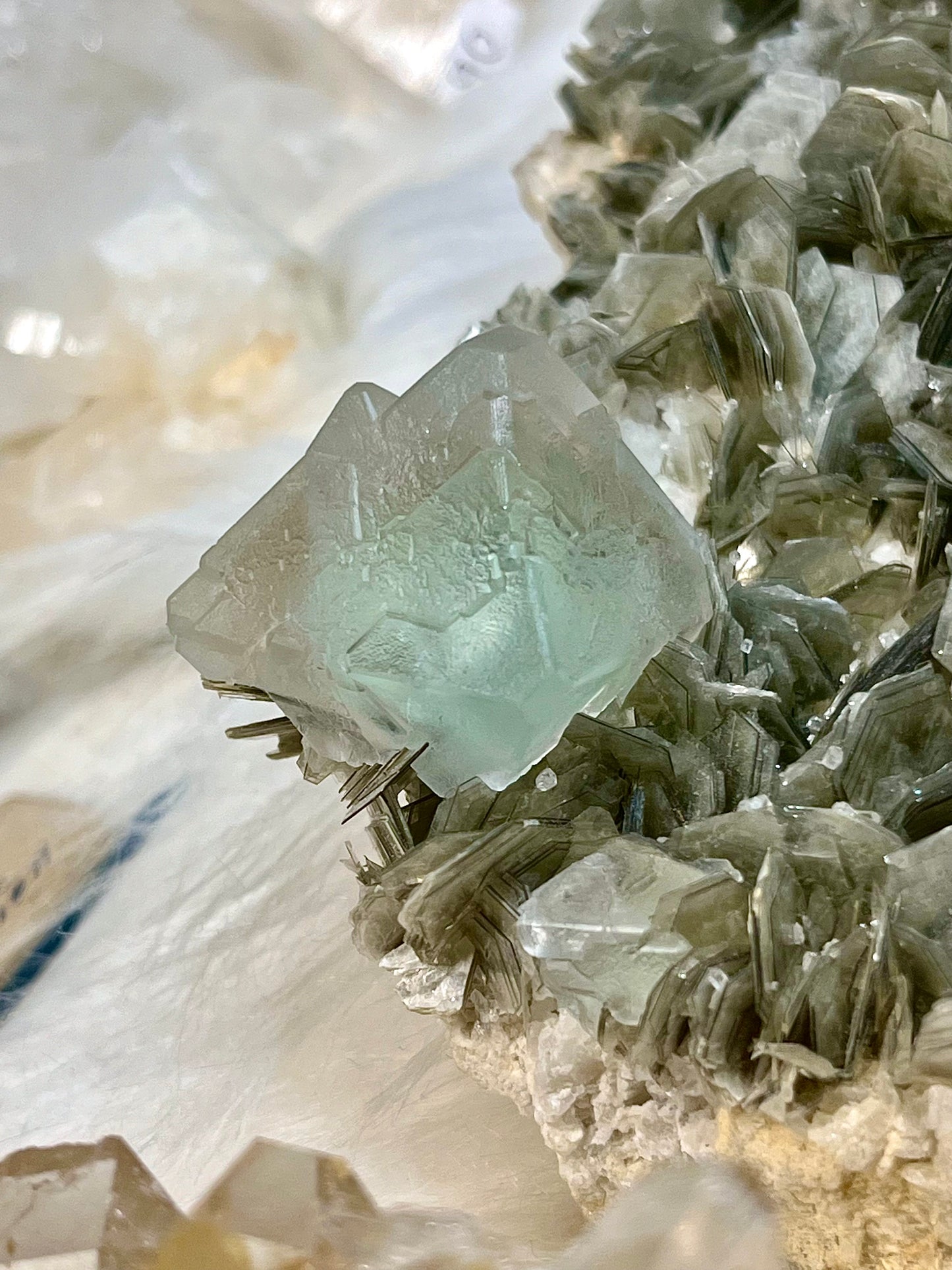Etched Aquamarine x Fluorite On Muscovite