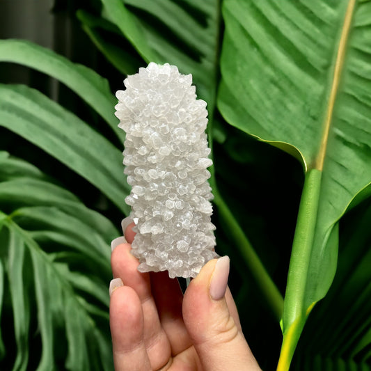 Ajanta Mountain Quartz Stalactite (M)