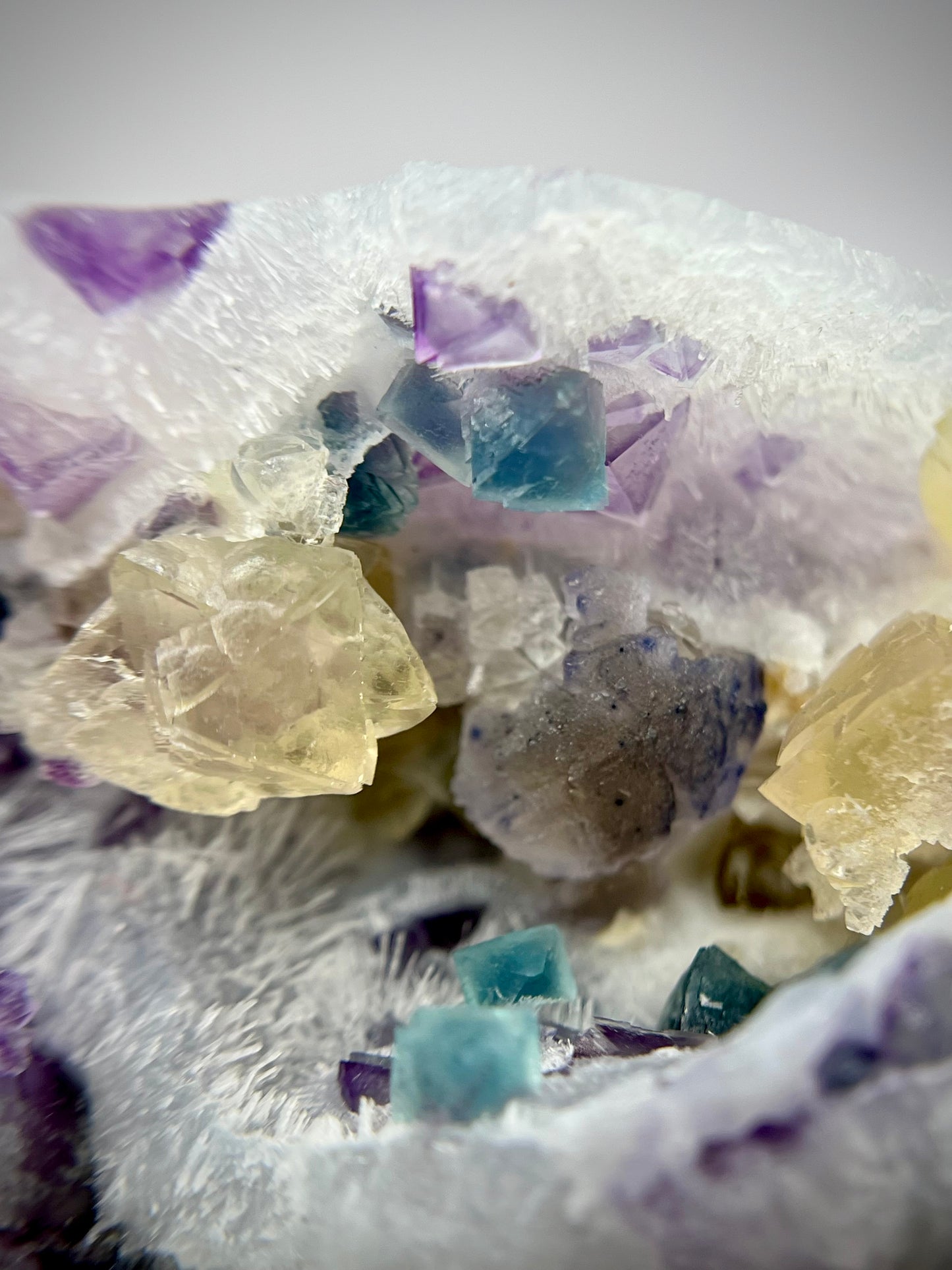 “Willy Wonka” Fluorite 4+ Generational Growth DOUBLE-SIDED