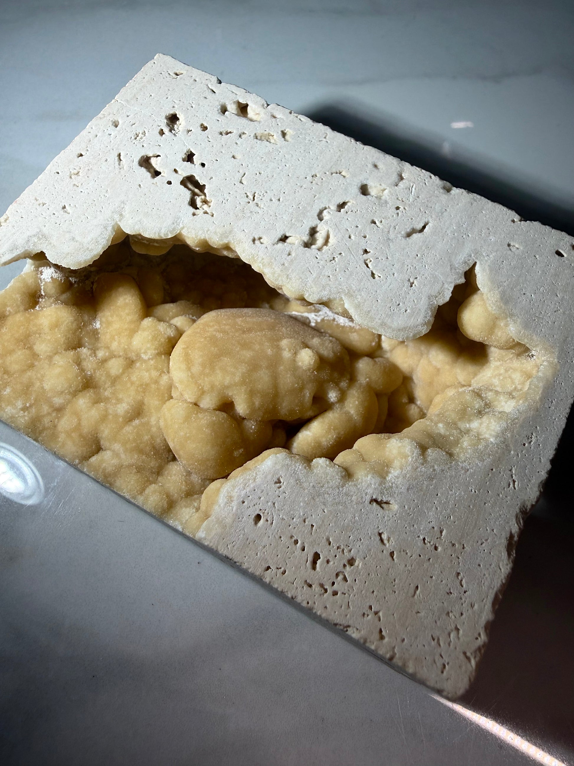 Deep travertine pocket with heavily encrusted Potamon crab fossil partially visible inside.