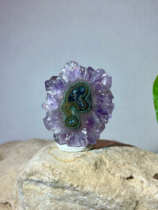 URUGUAY COLLECTION- Amethyst Stalactite Slice