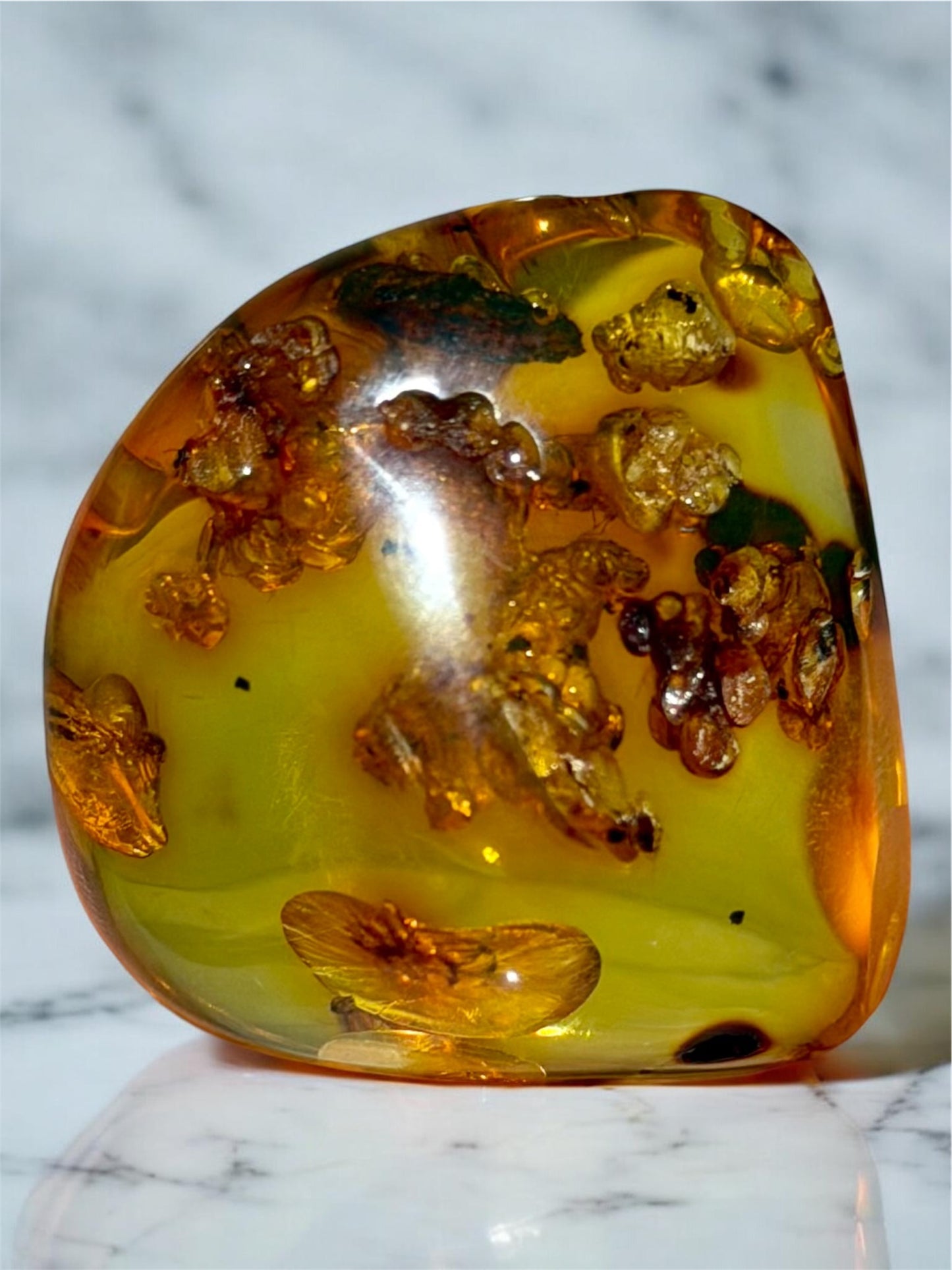 Amber With Insects- Colombia | River Walkers Minerals