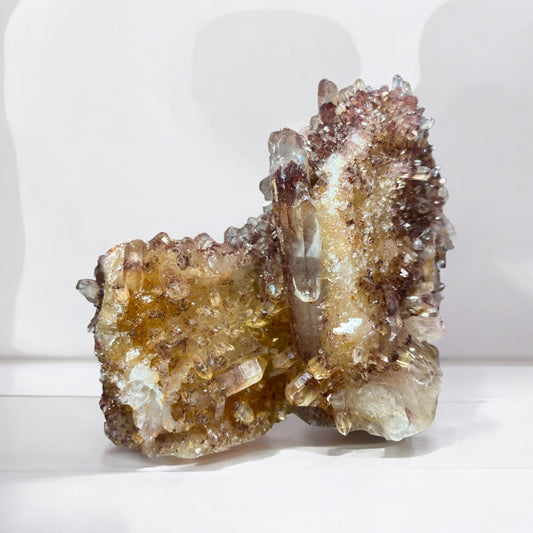 Sunset Phantom Quartz (M)