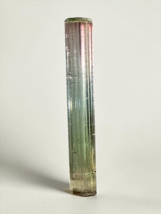 Multi-Color Pastel Elbaite Tourmaline- São José da Safira | River Walkers Minerals