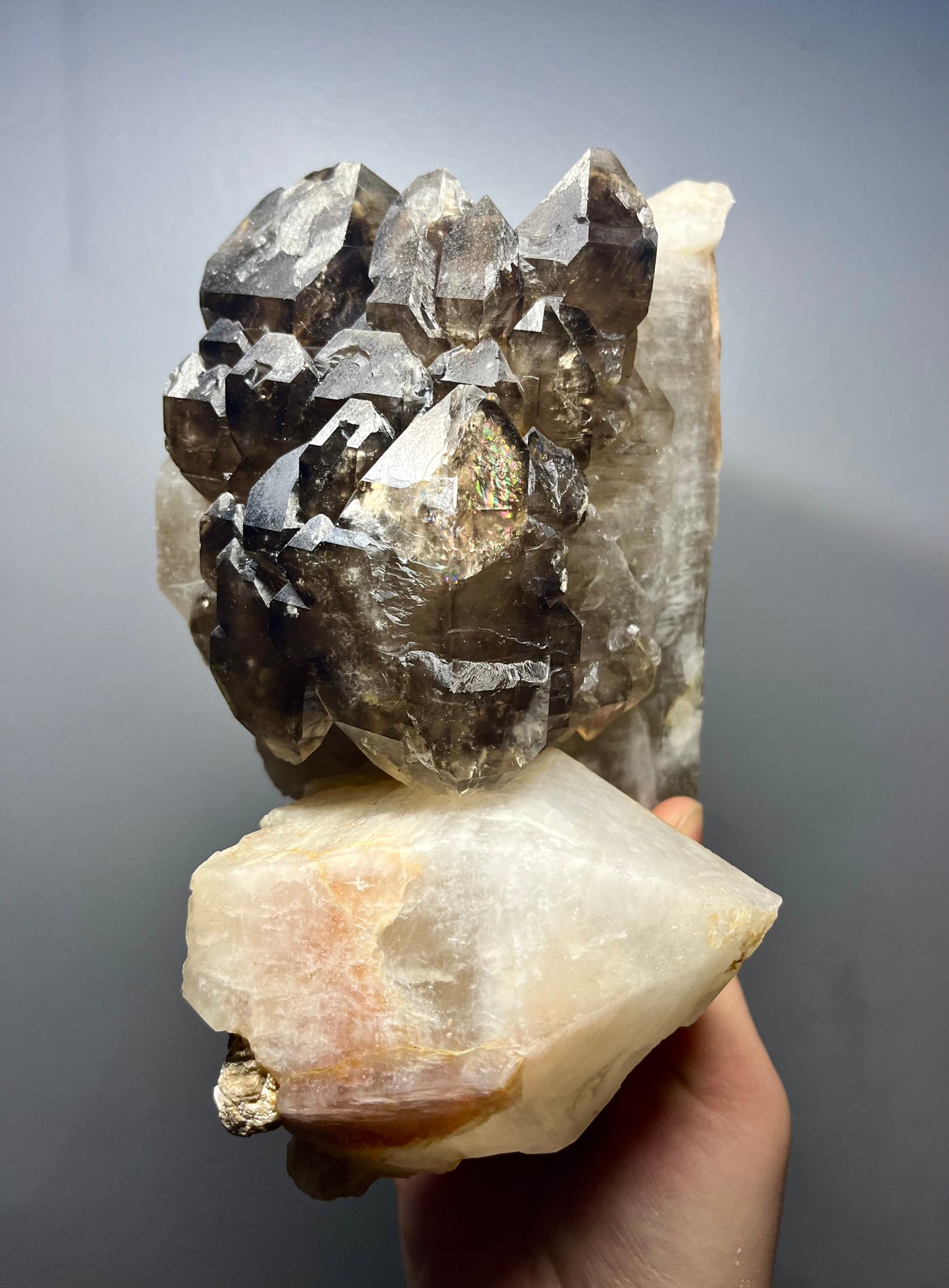 Smokey Elestial Quartz With Enhydros- Neu Schwabben Mine