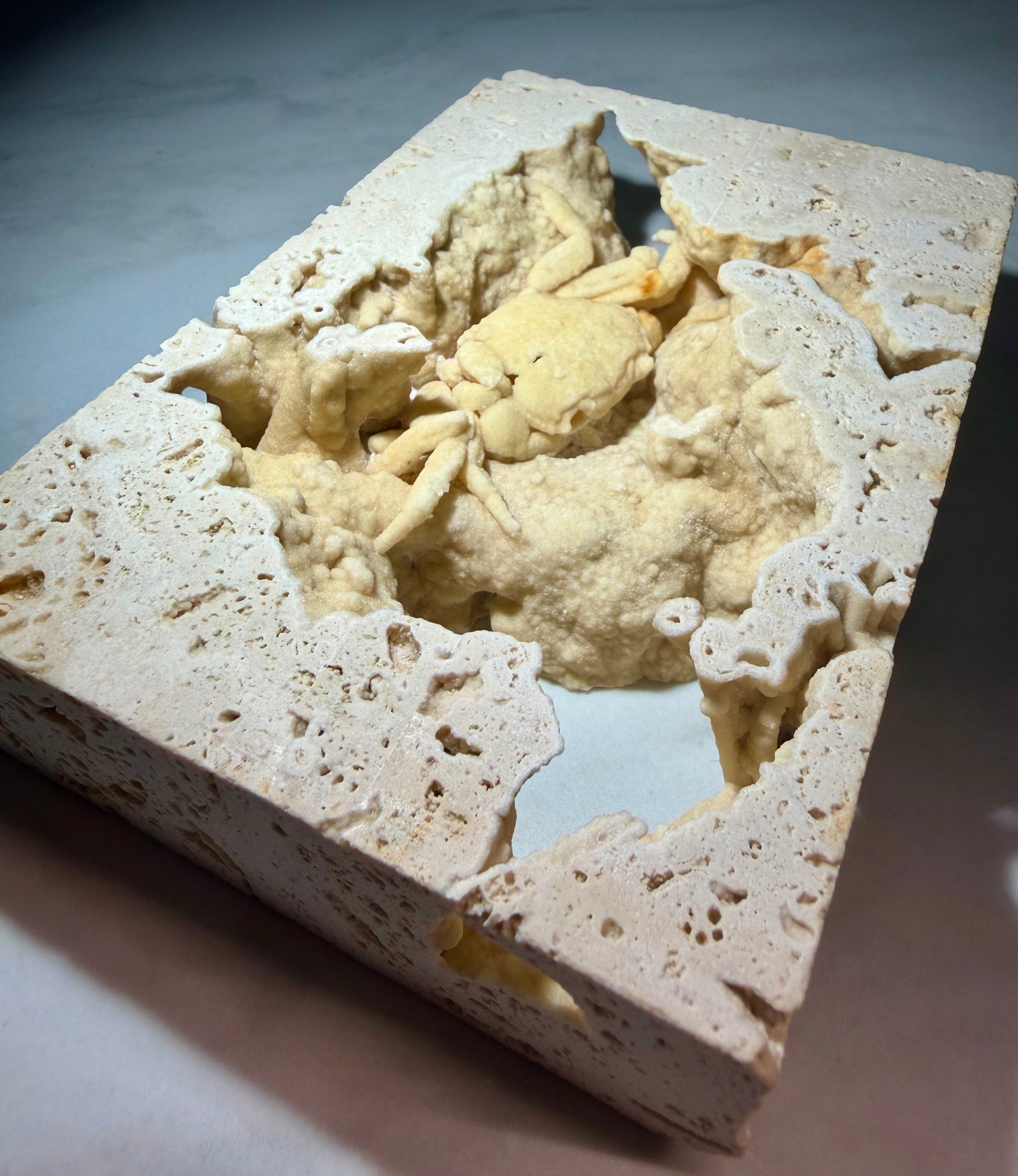 Large open travertine chamber containing a fully visible Potamon crab fossil from Denizli Basin.