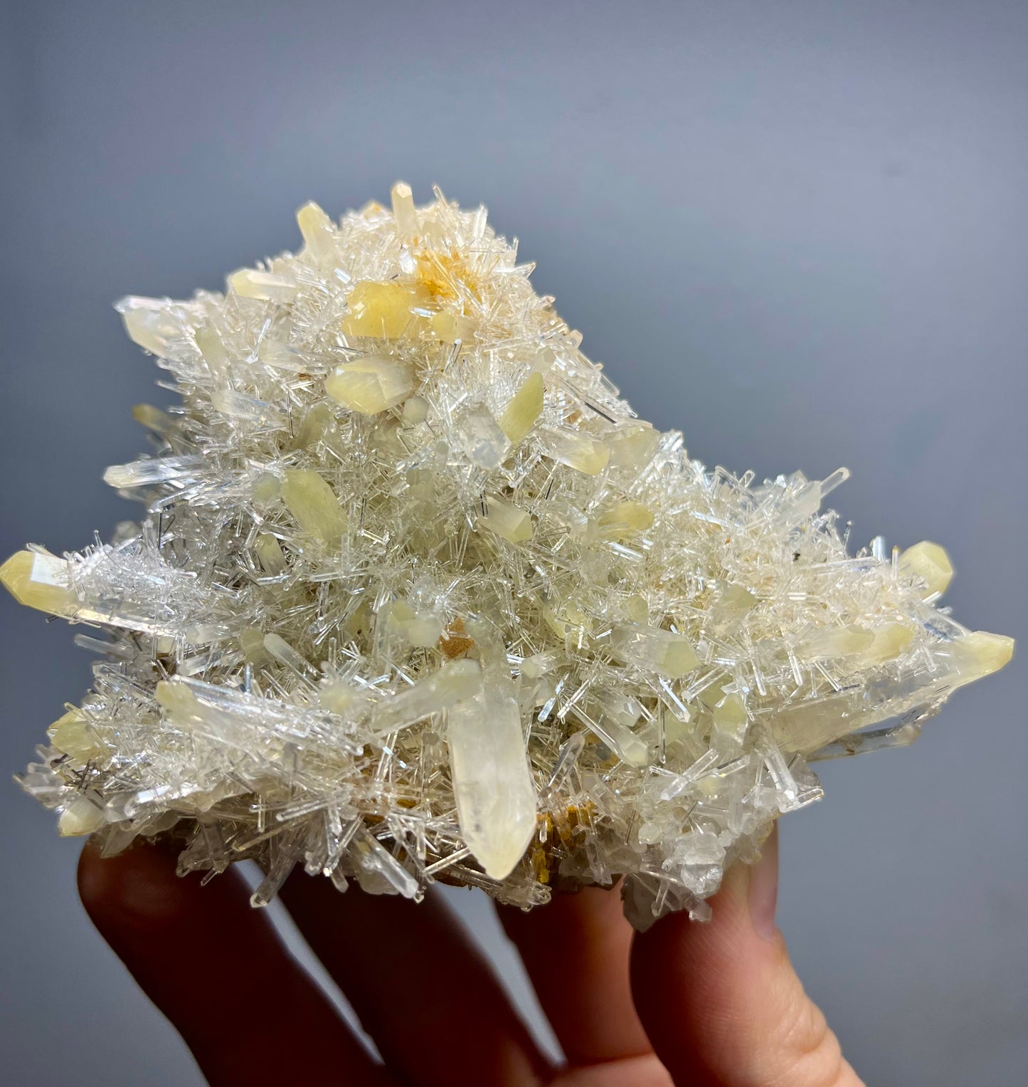 Mango Quartz Needle Cluster *Self-Standing!