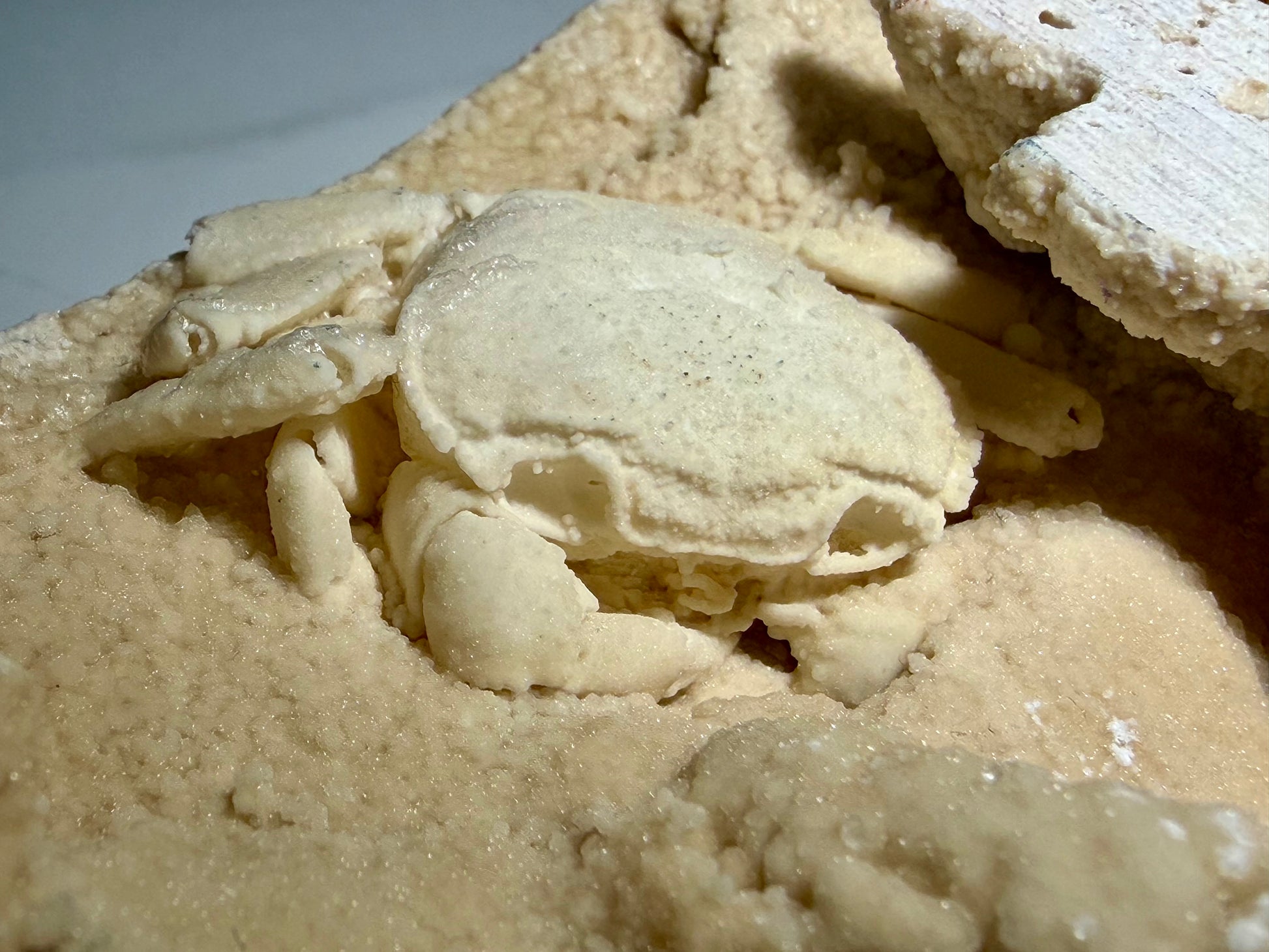 Close-up of preserved crab carapace and legs within botryoidal travertine cavity.