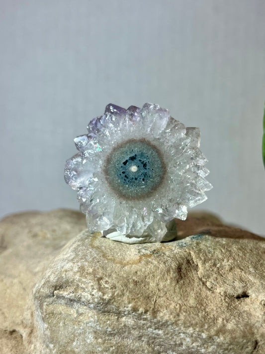 URUGUAY COLLECTION- Amethyst Stalactite Slice