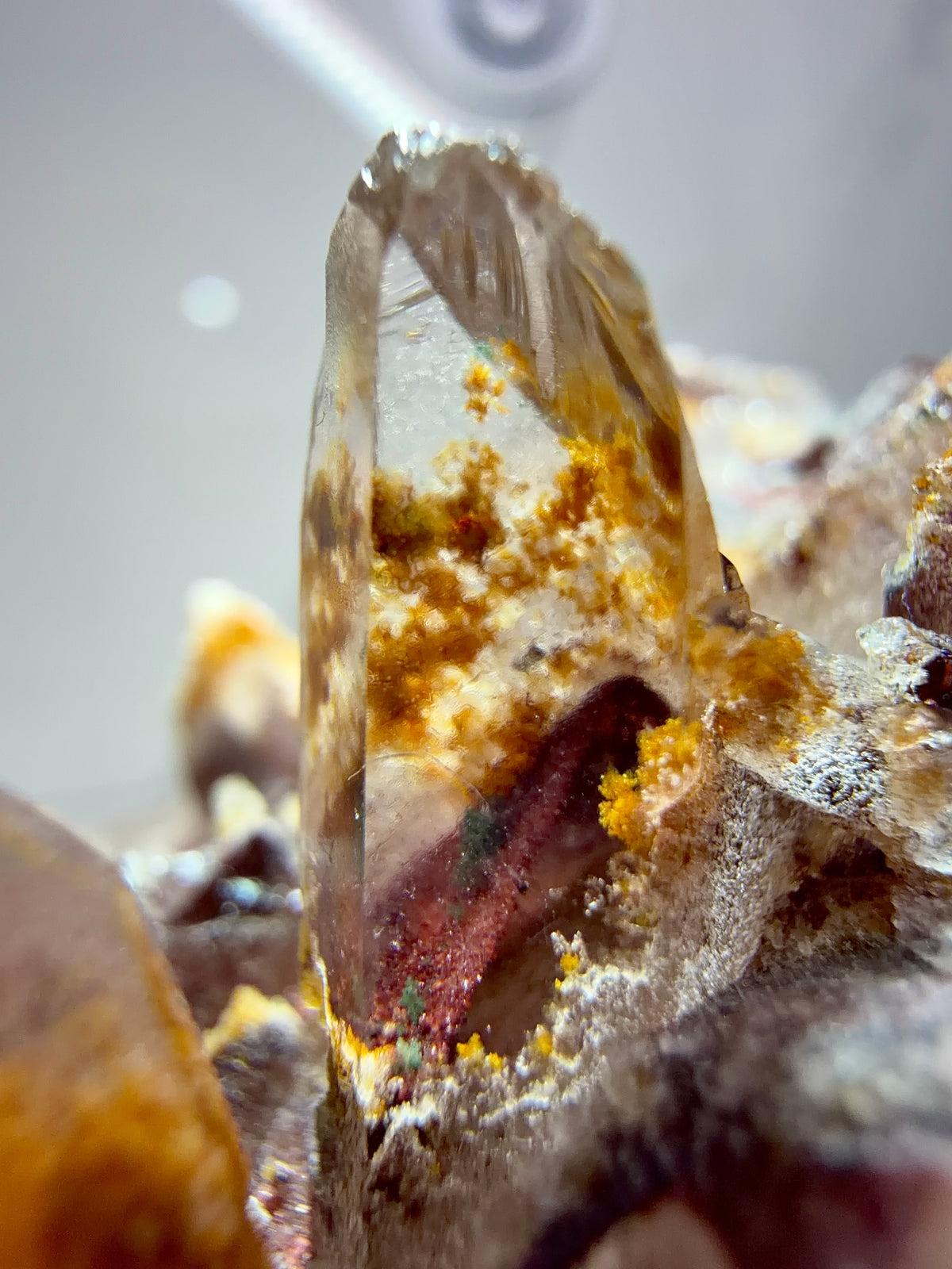 Clustered Hematite “Sunset” Phantom Quartz With Chlorite & Goethite Inclusions- India | River Walkers Minerals