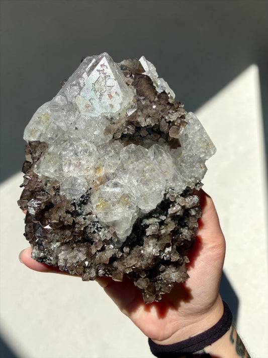 Colorless Fluorite with Smoky Quartz Corkscrew Scepters – 2018 Find Huanggangliang | River Walkers Minerals