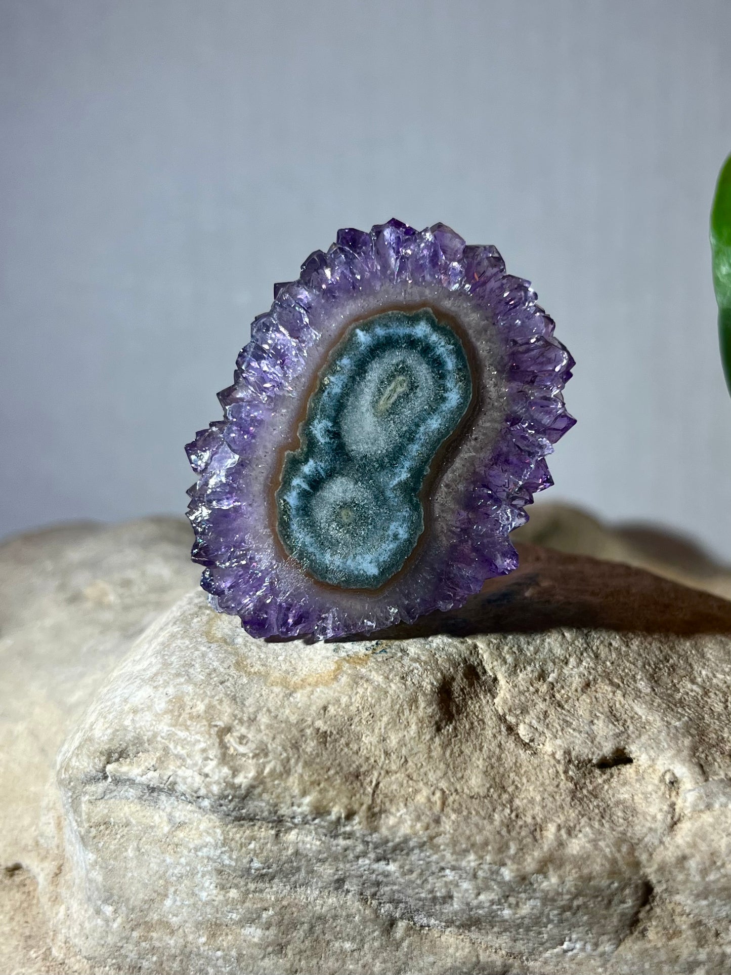 URUGUAY COLLECTION- Amethyst Stalactite Slice