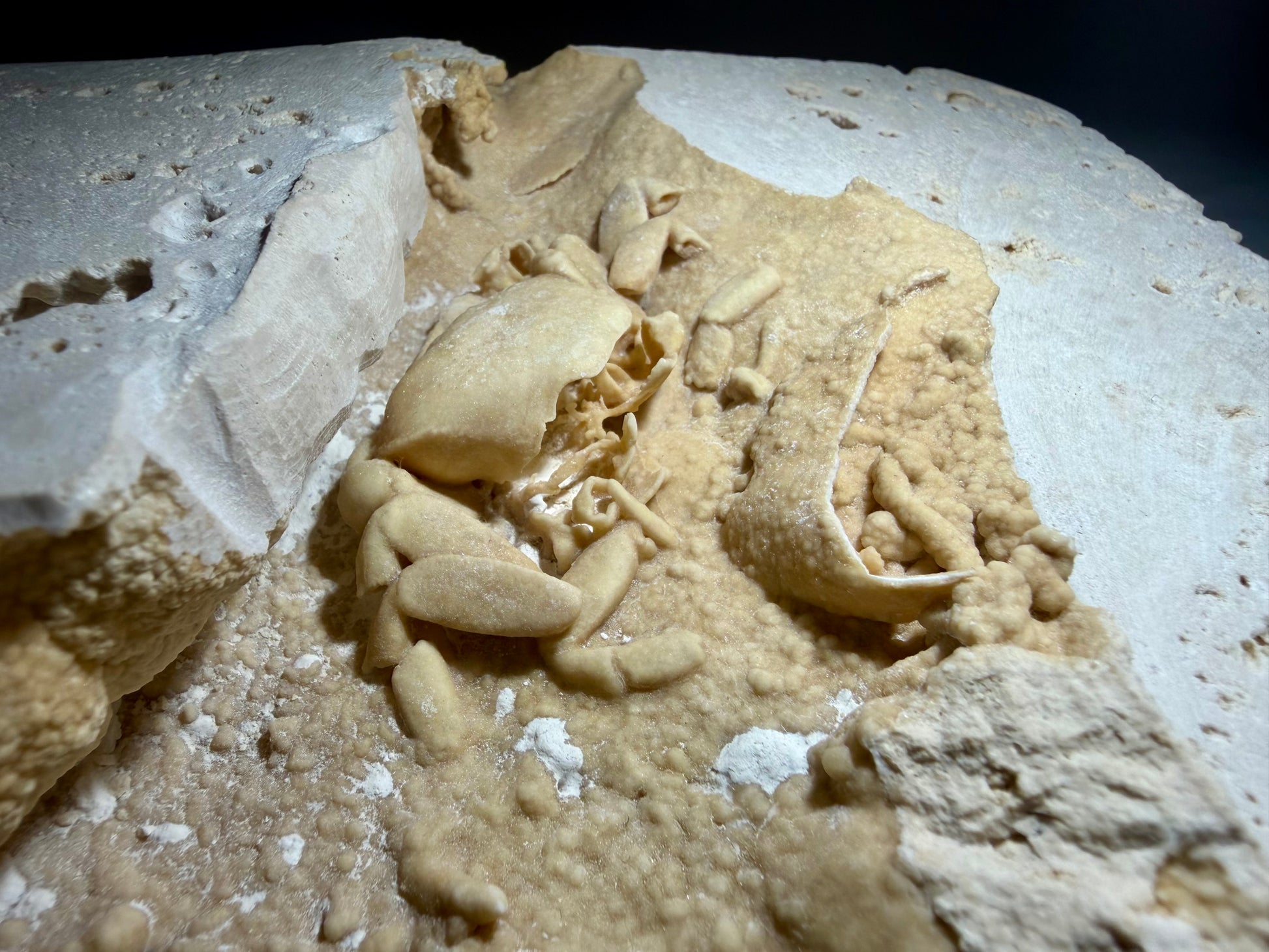 Side angle showing crab fossil, travertine overhangs, and sparkling mineral textures within the chamber.