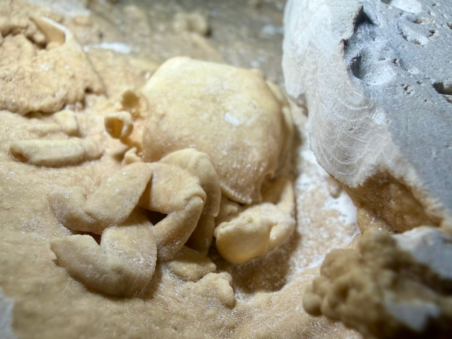 Detailed view of fossil crab nestled inside a deep travertine cavity from the Denizli Basin, Turkey.