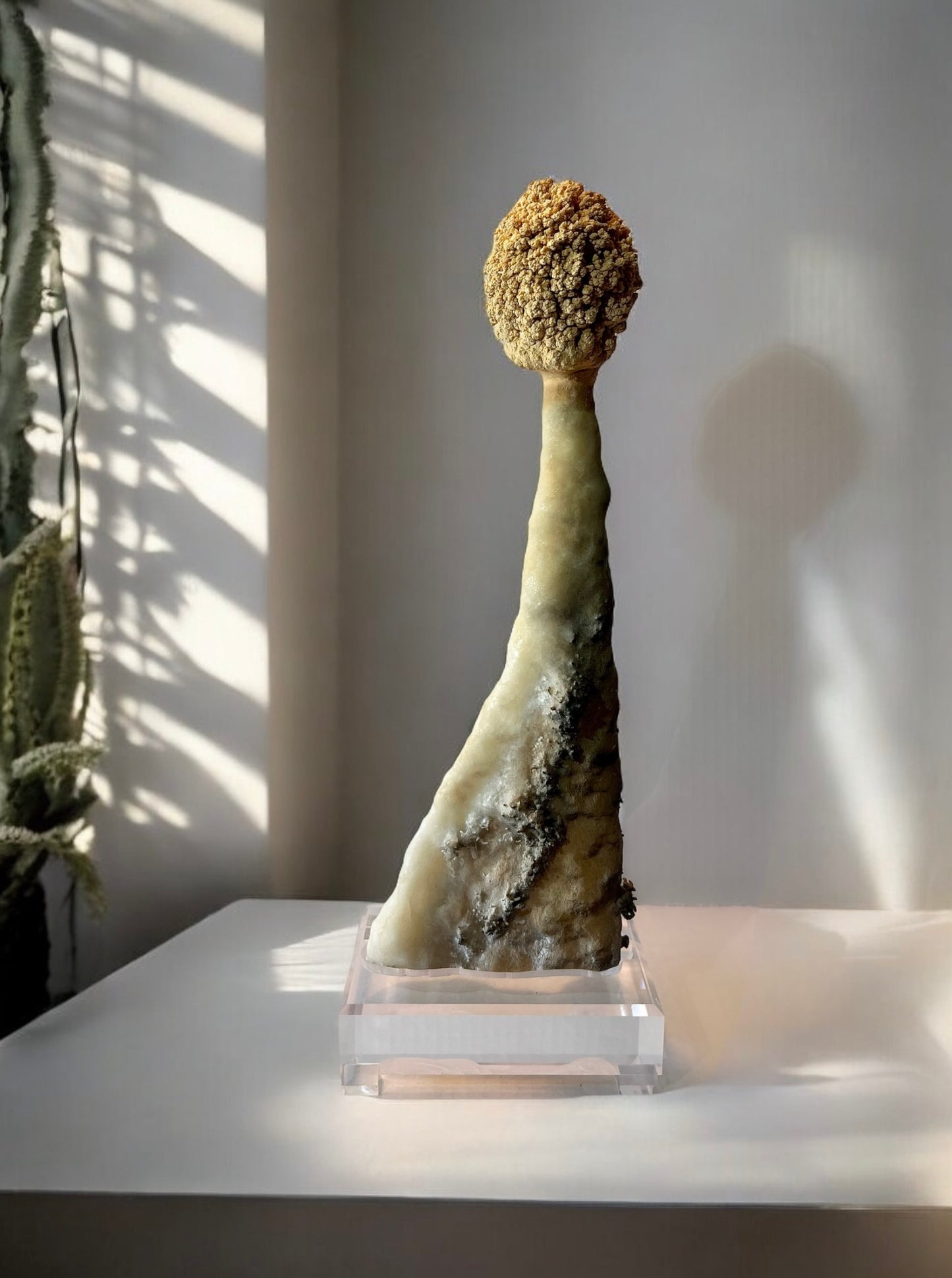 “The Lorax” Calcite Stalactite Rare Growth