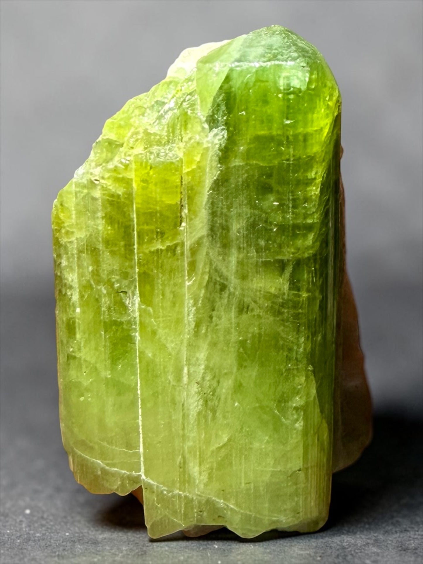 Watermelon Tourmaline on Quartz- Himalaya Mine, Cali | River Walkers Minerals