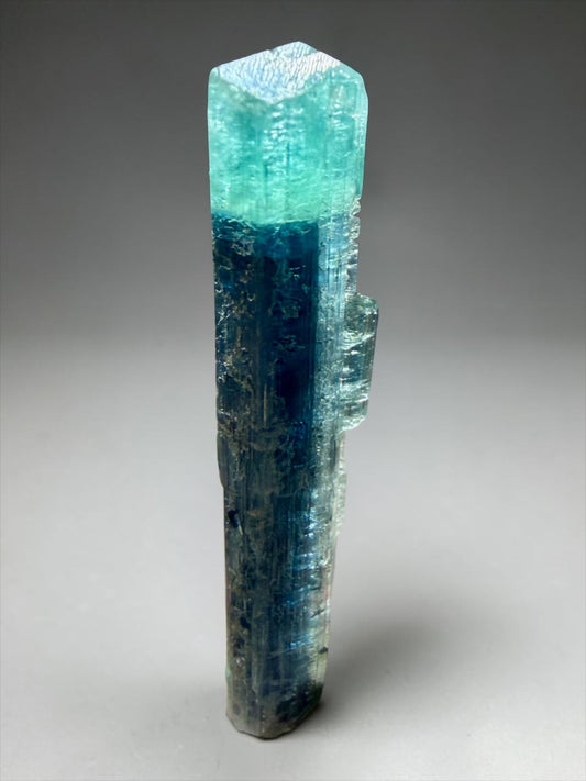 Bi-Colored Blue Tourmaline- Coronel Murta | River Walkers Minerals