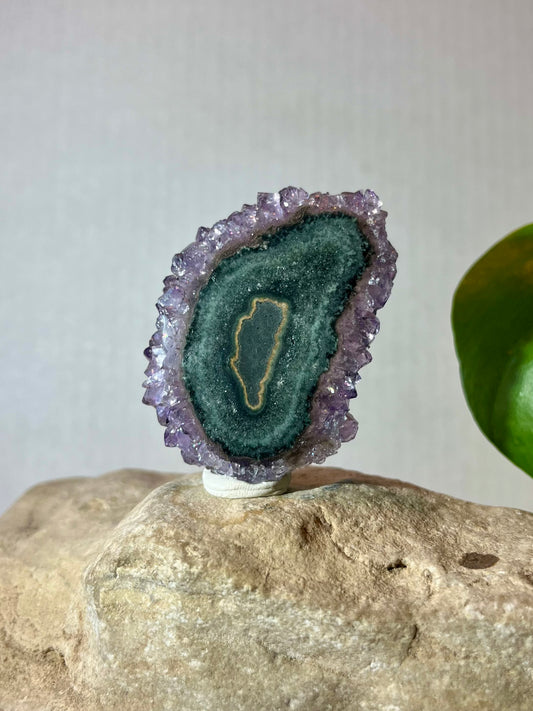 URUGUAY COLLECTION- Amethyst Stalactite Slice