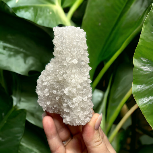 Ajanta Mountain Quartz Stalactite (J)