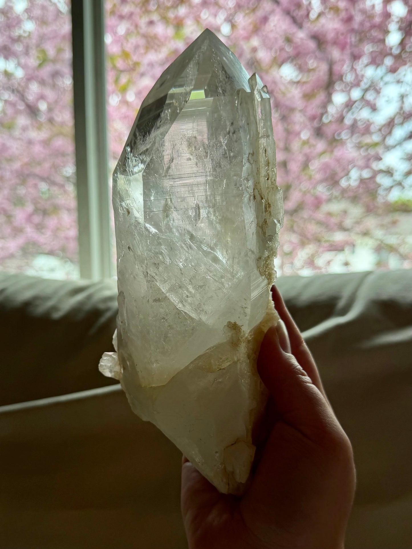 XL Quartz Point- Peña Blanca | River Walkers Minerals