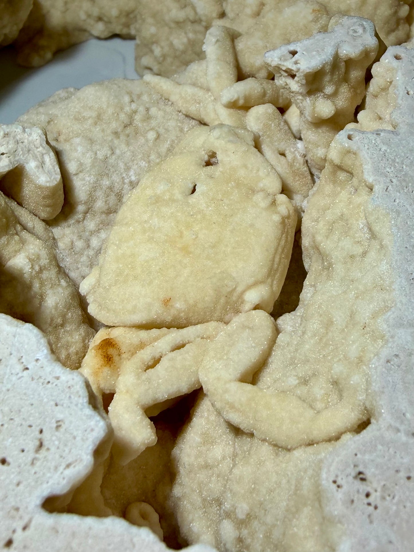 Large open travertine chamber containing a fully visible Potamon crab fossil from Denizli Basin.