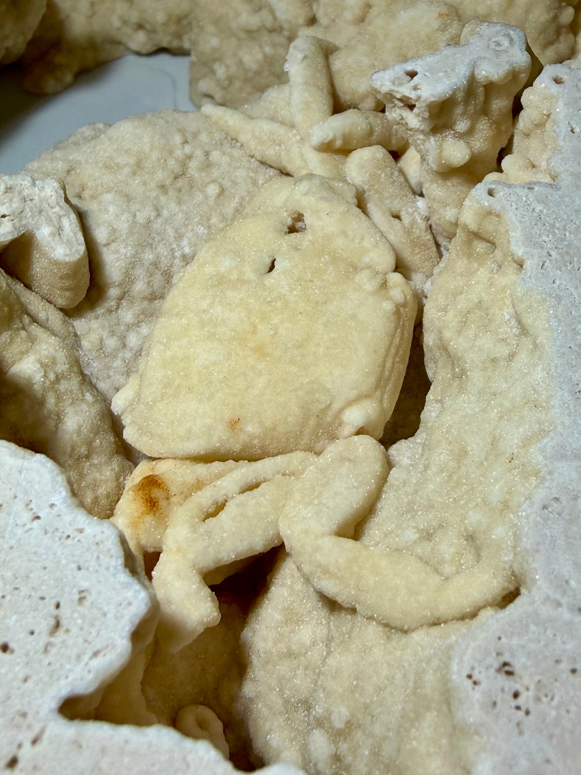 Large open travertine chamber containing a fully visible Potamon crab fossil from Denizli Basin.