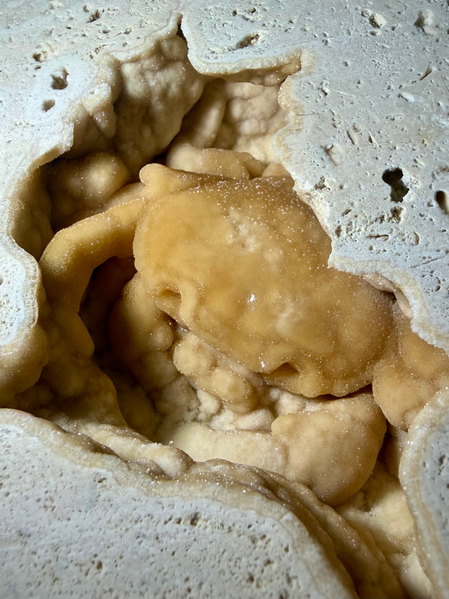 Top view of UV-reactive travertine cavity containing a heavily mineralized Potamon crab fossil.