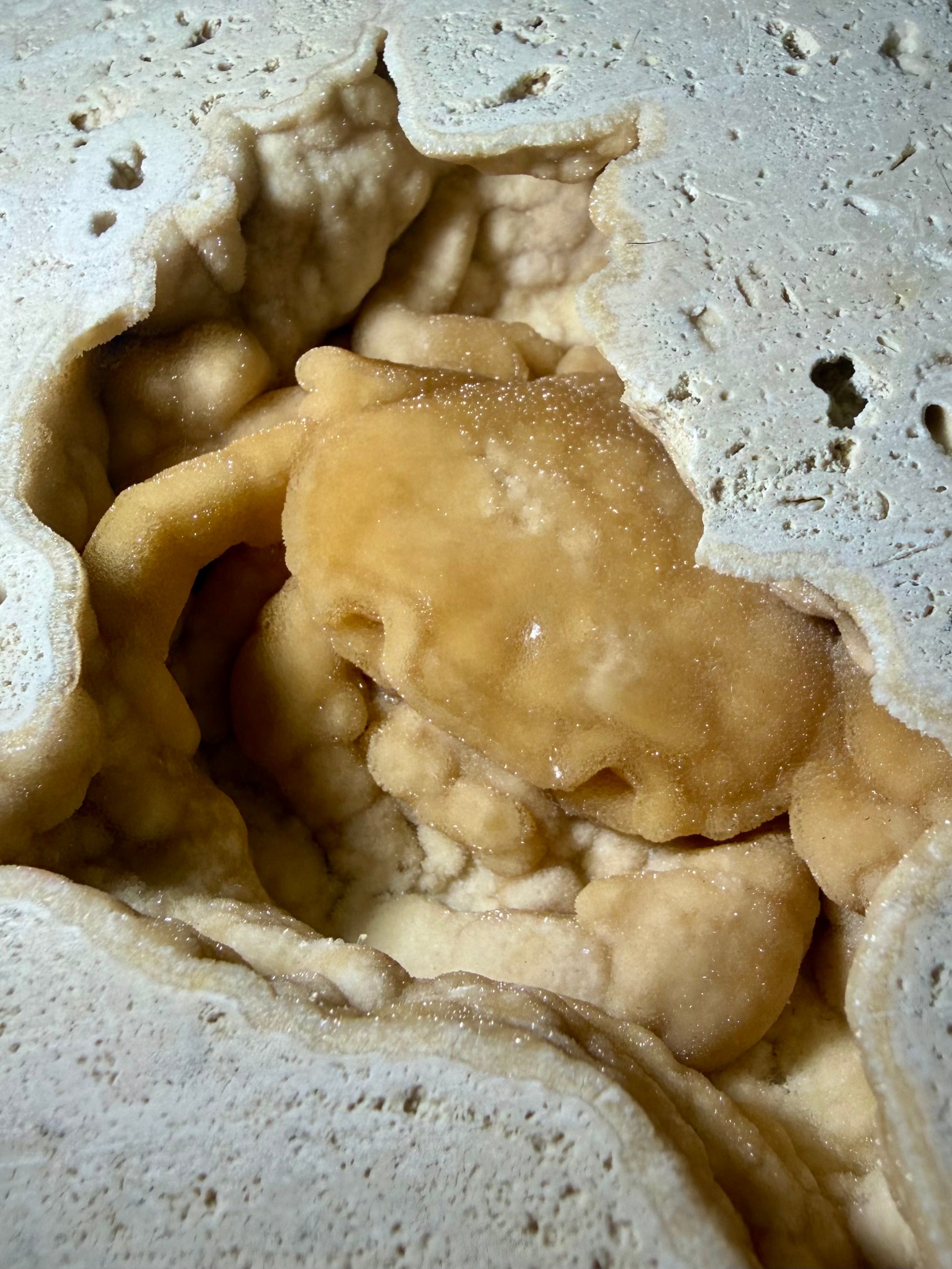 Top view of UV-reactive travertine cavity containing a heavily mineralized Potamon crab fossil.