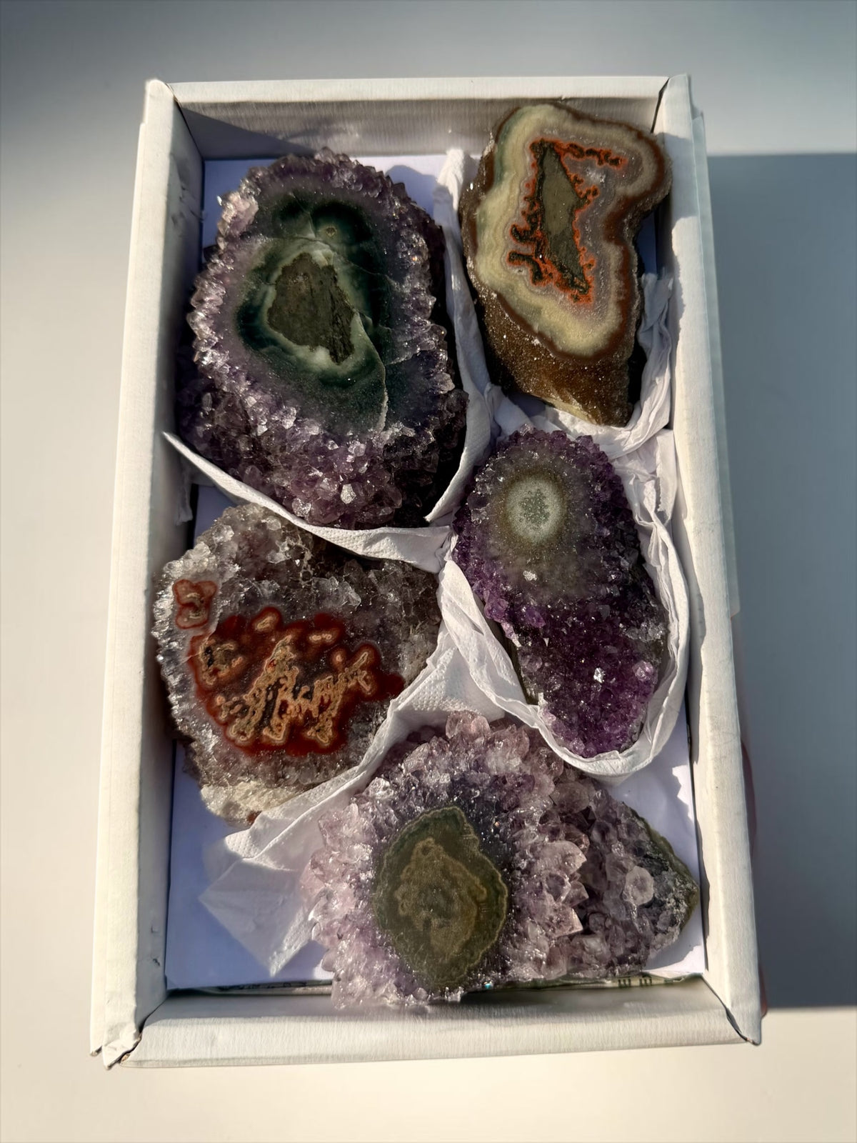 Mixed Flat of Amethyst & Jasper Stalactite "Eyes"- Uruguay | River
Walkers Minerals (Copy) (Copy)