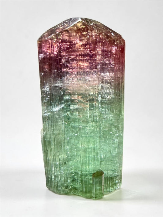 Multi-Color Elbaite Tourmaline- São José da Safira | River Walkers Minerals