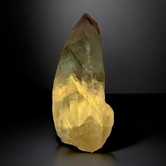 Amethyst Root with UV Reactive Phantoms (Possible Powellite- Pending Lab Results) 4/18