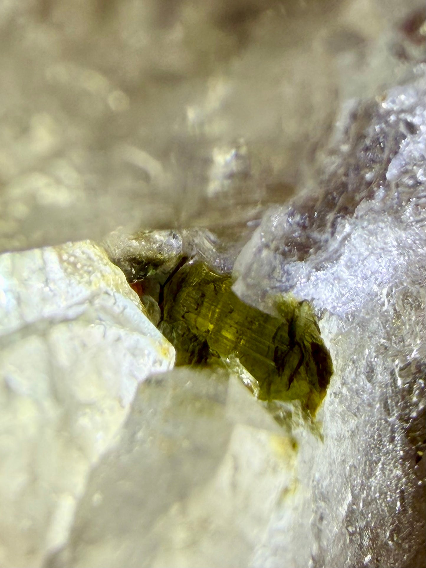 Scepter Quartz with Green Tourmaline- Minas Gerais | River Walkers Minerals