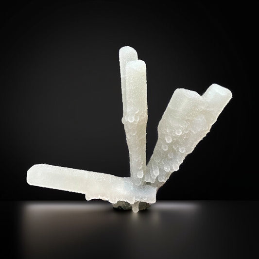 Exceptional Chalcedony-Coated Selenite Blades— Deccan Traps
