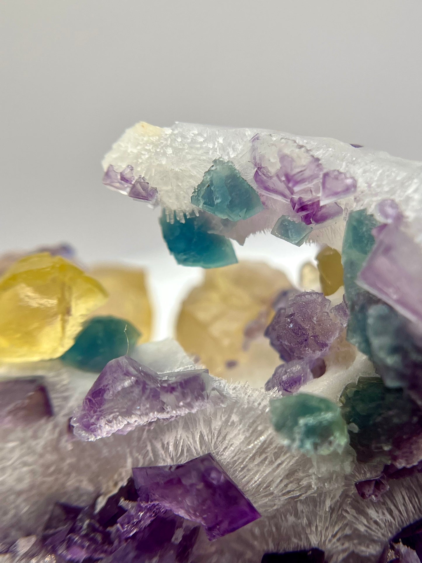 “Willy Wonka” Fluorite 4+ Generational Growth DOUBLE-SIDED