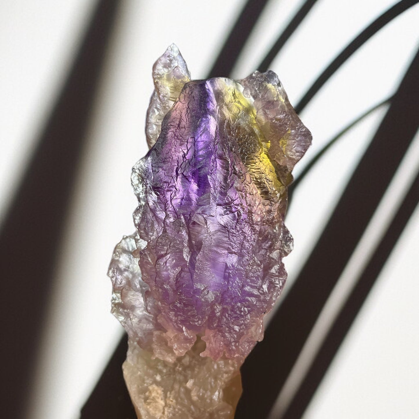 𝐓𝐡𝐞 𝐀𝐦𝐞𝐭𝐡𝐲𝐬𝐭 𝐀𝐫𝐜𝐡𝐢𝐯𝐞 | Hydrothermally Etched Bolivian Ametrine