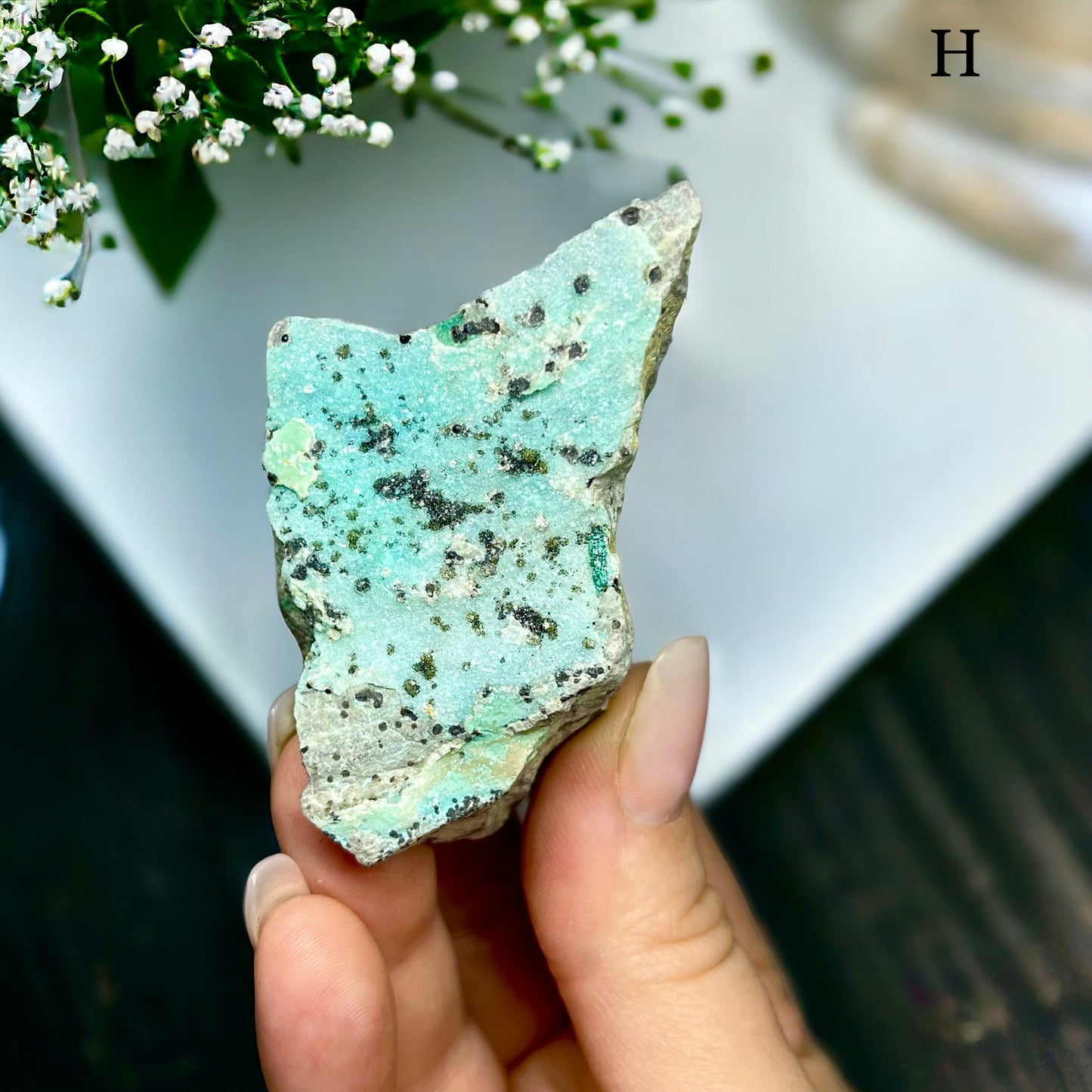 Druzy Chrysocolla x Malachite (H)