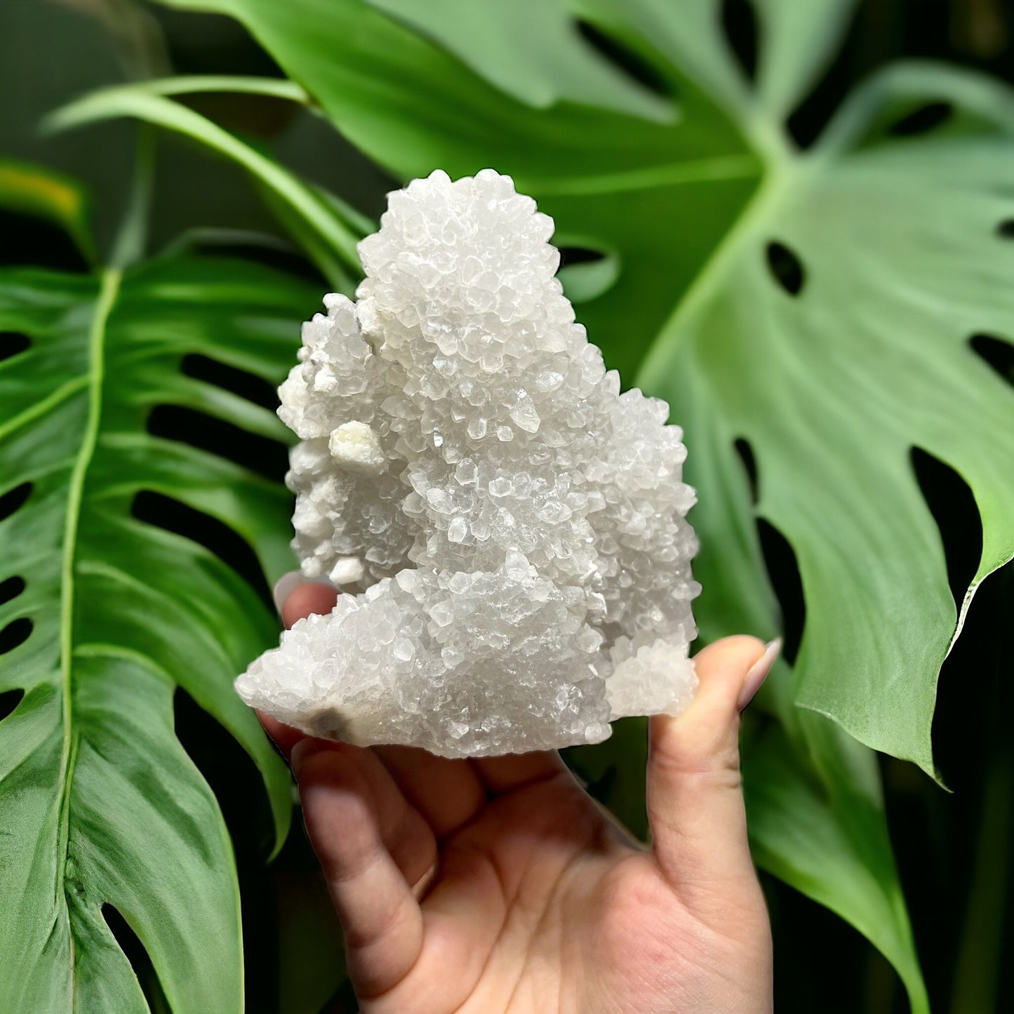 Ajanta Mountain Quartz Stalactite (F)