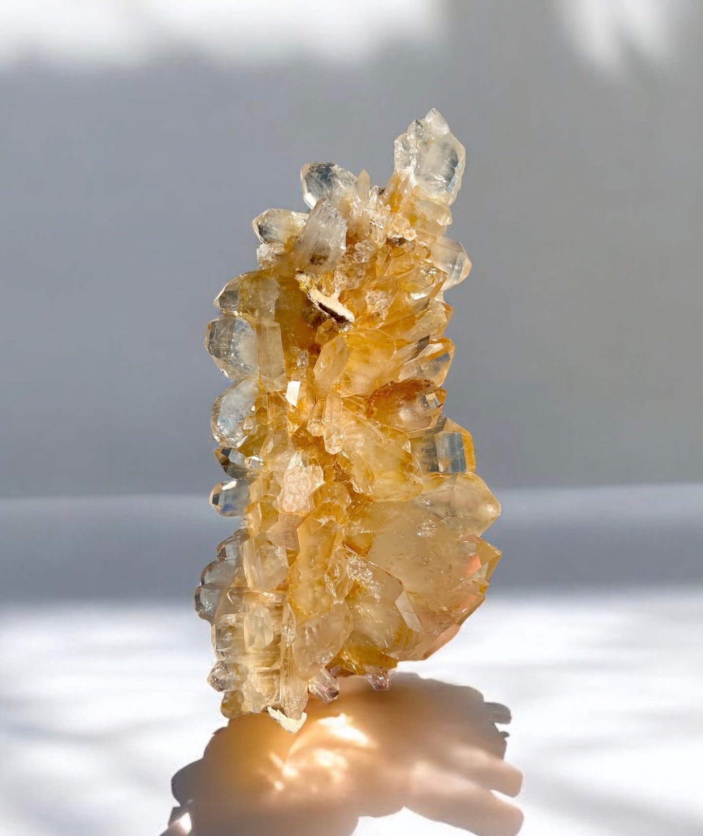 High Grade Golden Faden Quartz 360° Cluster