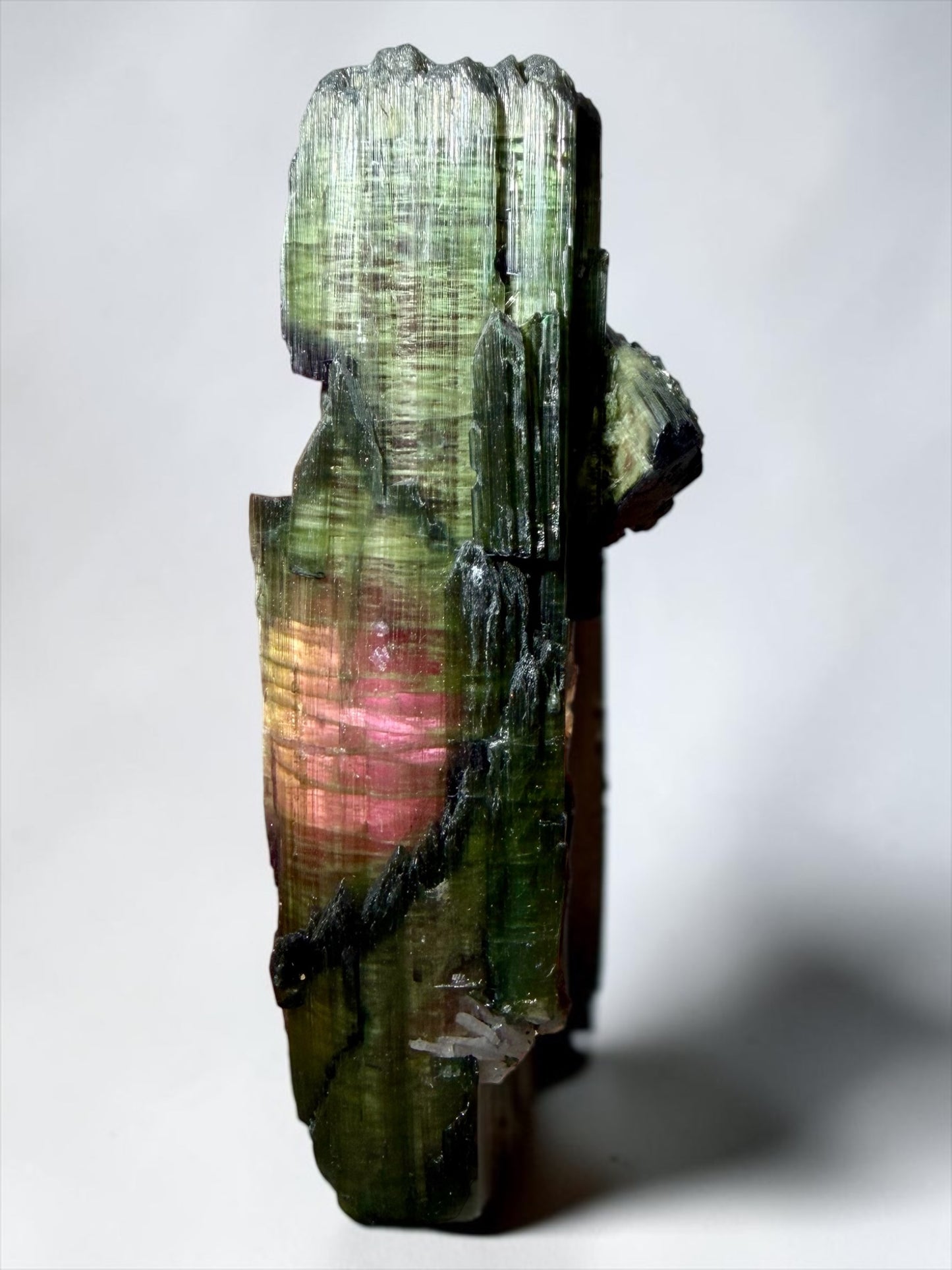 Large Double-Terminated Watermelon Tourmaline with Rare Flattened Growth- K.C.S.D. Mine, California | River Walkers Minerals