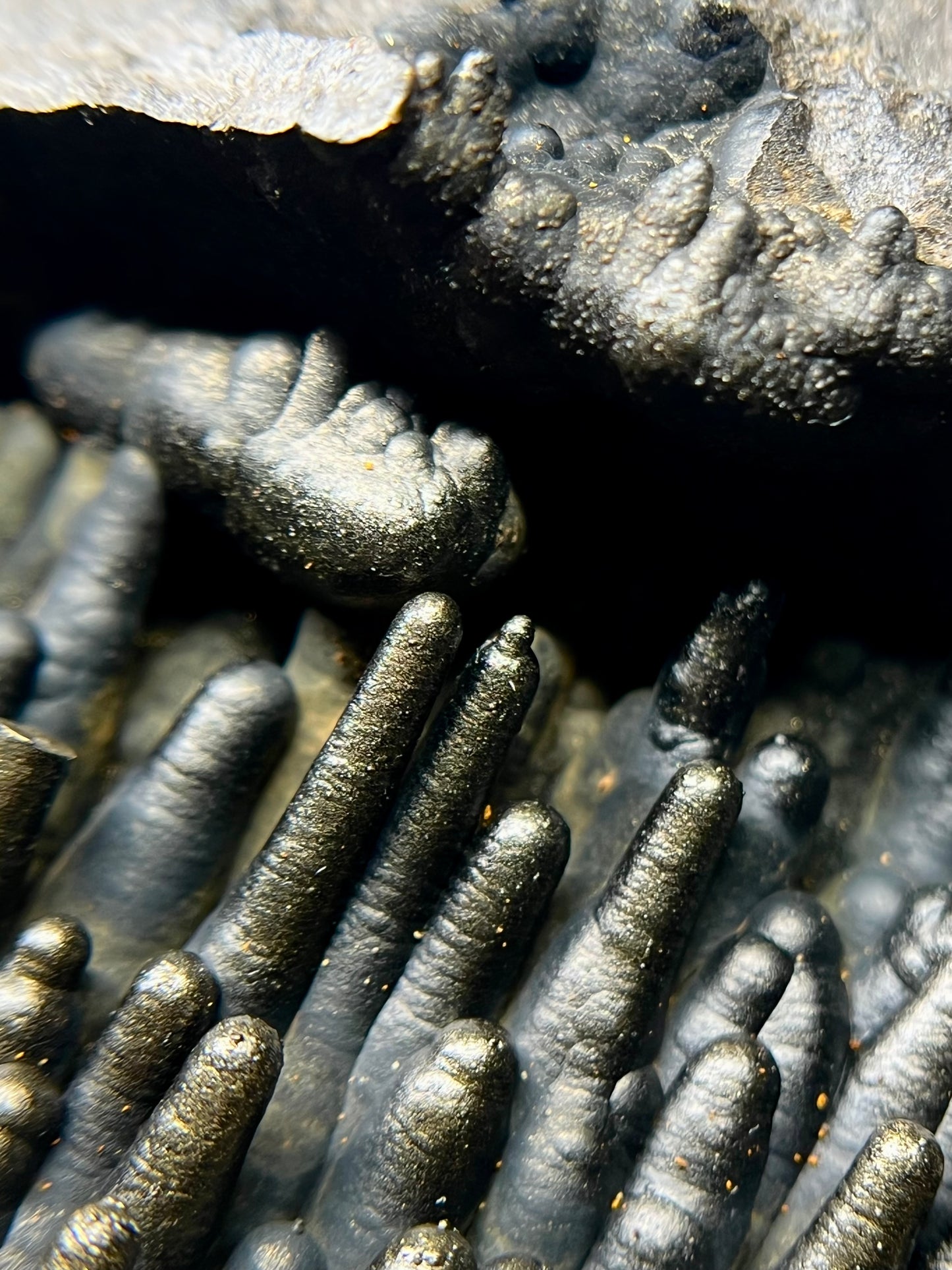 Golden Metallic Goethite Stalactites (A) *RARE