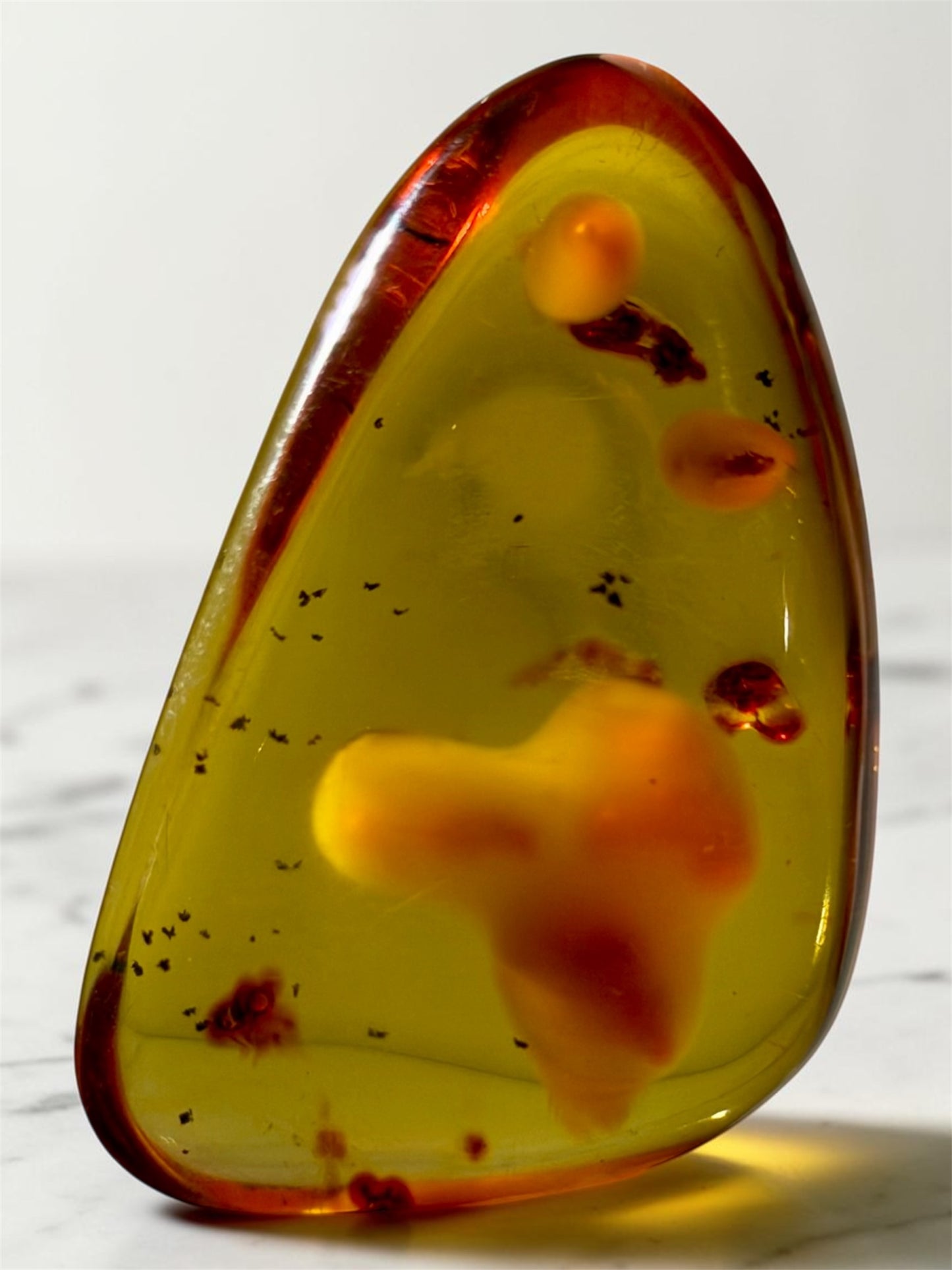 Amber With Insect-Filled Sack- Colombia | River Walkers Minerals