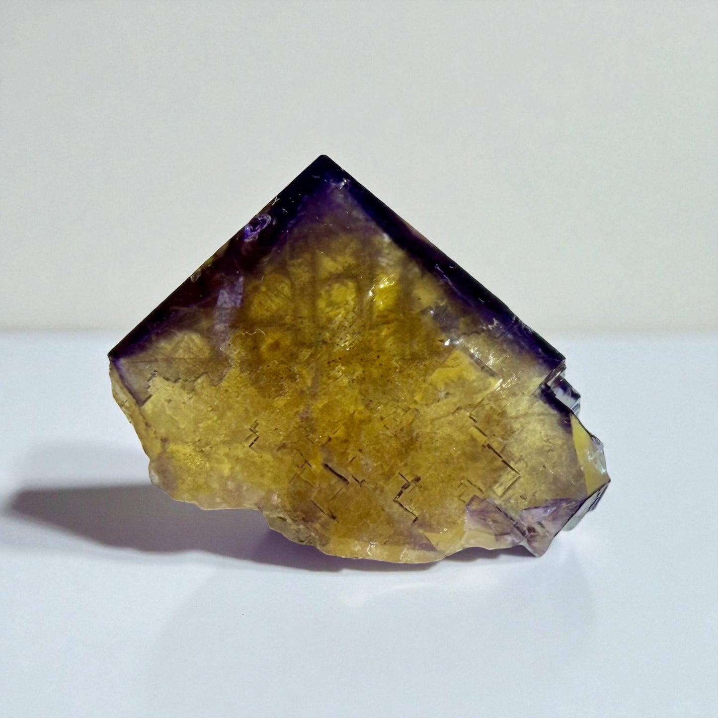 Fluorite x Bitumen - Minerva No. 1