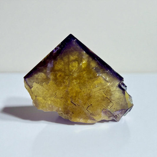 Fluorite x Bitumen - Minerva No. 1