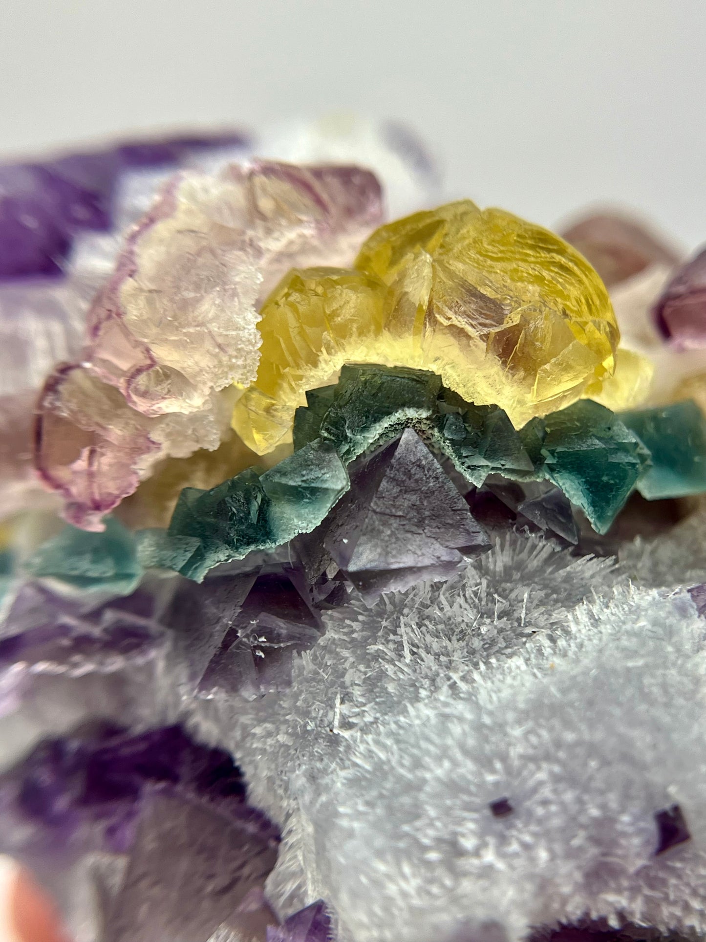 “Willy Wonka” Fluorite 4+ Generational Growth DOUBLE-SIDED