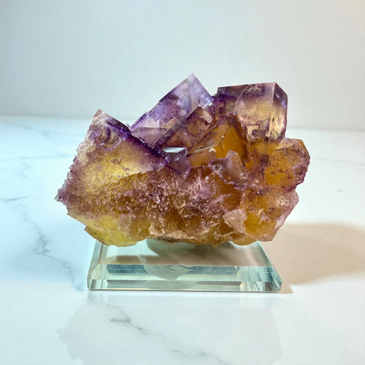 Fluorite x Chalcopyrite • Crystal-Victory Mine, Illinois