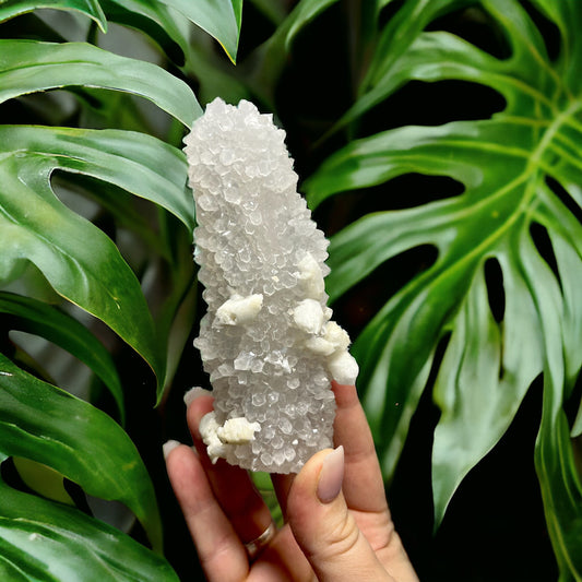 Ajanta Mountain Quartz Stalactite (I)